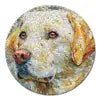 Custom Animal Jigsaw Puzzle: Owl & Floral Art (1000-Piece Round)